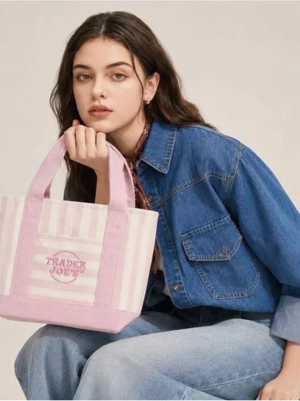 Trader Joe's Pink Stripe Canvas Mini Tote